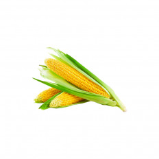 Product thumb gallery 595
