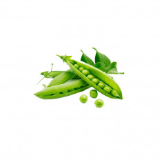 Product thumb gallery 602