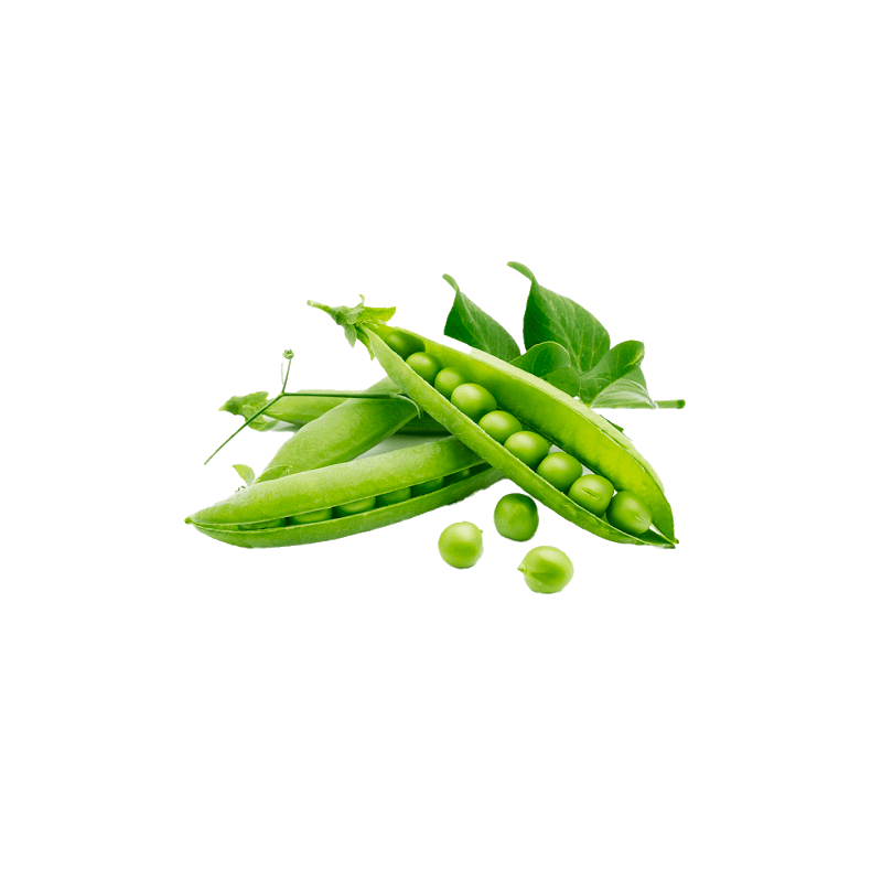 Product gallery 749