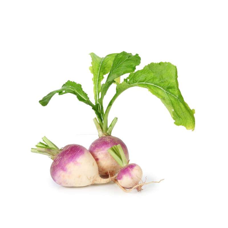 Baby Radish 1lbs